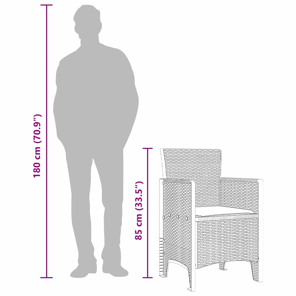 Silla De Jardín Con Cojín 2 Pcs 53 X 49 X 85 Cm Polipropileno