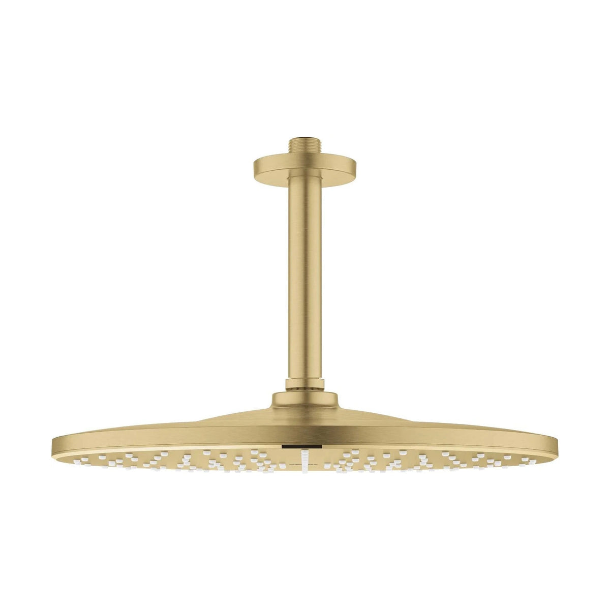 Rociador de ducha redondo grohe rainshower mono 310 - Oro Cepillado