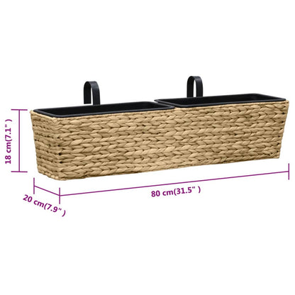 Conjunto De Jardineras 2 Unidades Jacinto De Agua