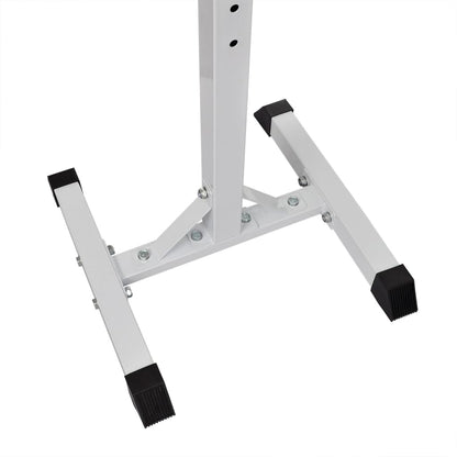Conjunto De Barra De Pesas