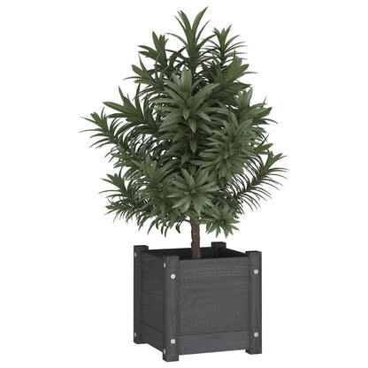 Jardineras 2 Uds Madera Maciza De Pino 31X31X31 Cm