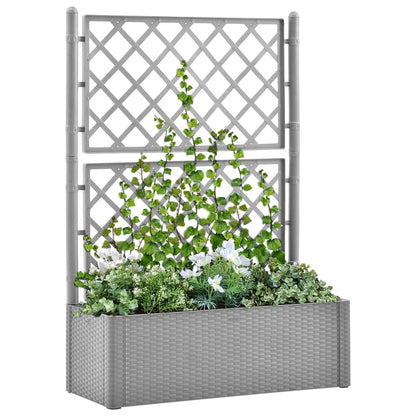 Arriate Con Enrejado Y Sistema De Riego Automático