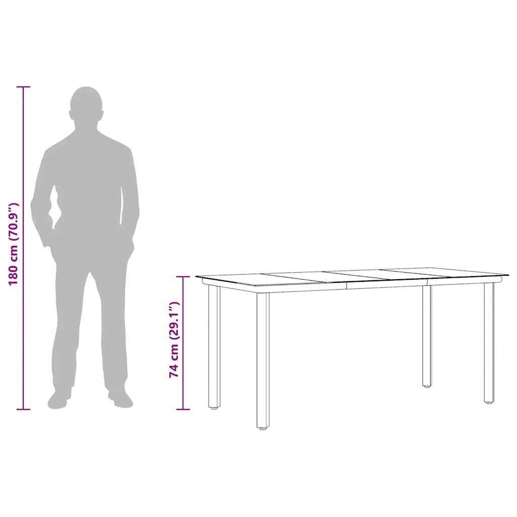 Mesa Comedor Jardín Acero Y Vidrio Templado Negro