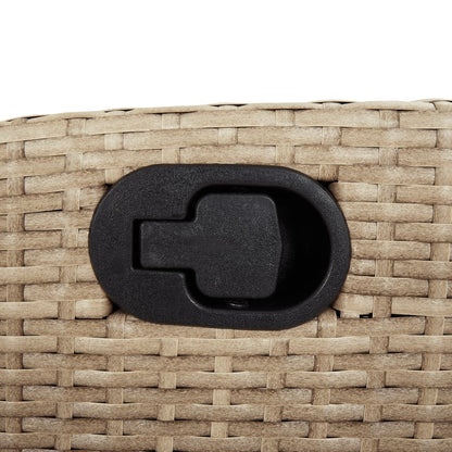 Silla De Jardín Reclinable Con Cojines Ratán Sintético