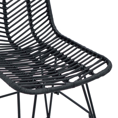 Silla De Comedor 2 Uds. Ratan E Hierro 44 X 54.5 X 85 Cm