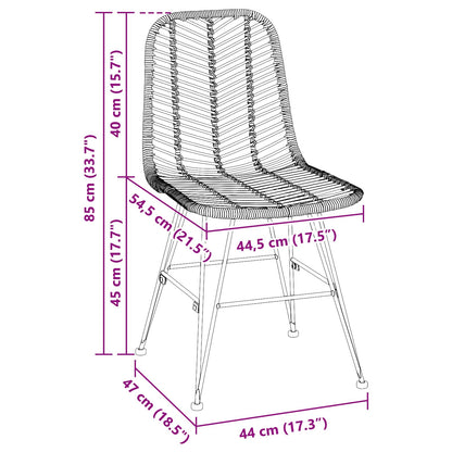 Silla De Comedor 2 Uds. Ratan E Hierro 44 X 54.5 X 85 Cm