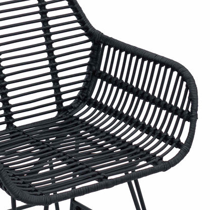 Silla De Comedor 2 Uds. Ratan E Hierro 55 X 50 X 74 Cm