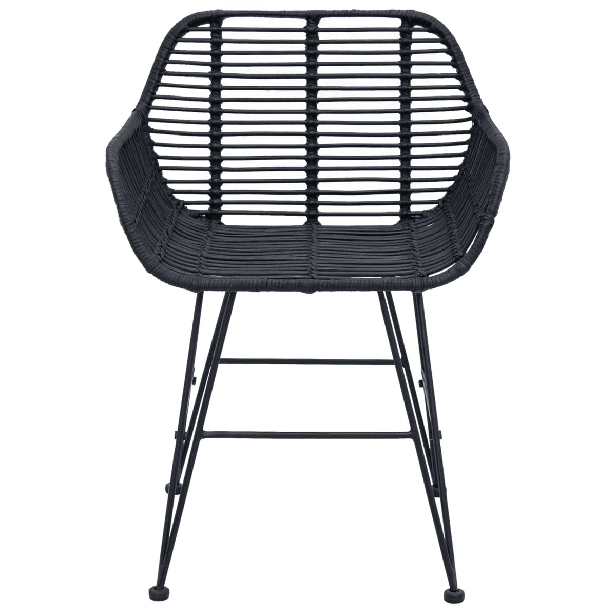 Silla De Comedor 2 Uds. Ratan E Hierro 55 X 50 X 74 Cm