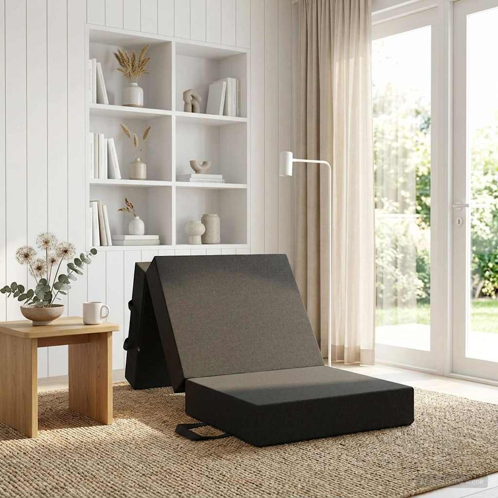 Sofá Cama Plegable 160 X 67 X 45 Cm