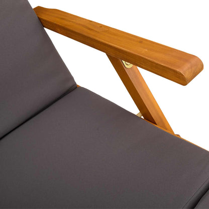 Recliner Y Tumbona Plegable 2 Pcs Gris 55 X 146 X 91 Cm