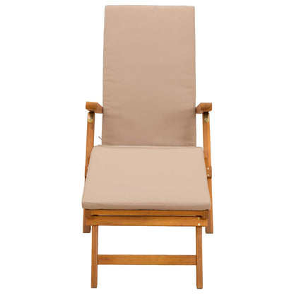 Recliner Y Tumbona Plegable 2 Pcs 55 X 146 X 91 Cm