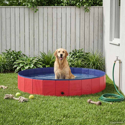 Piscina Para Perros Plegable Pvc