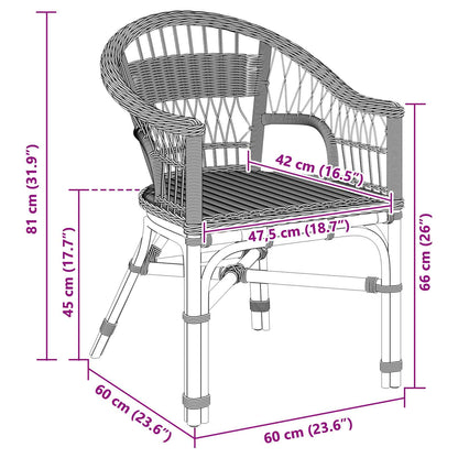 Silla Apilable Ratán 60 X 60 X 81 Cm