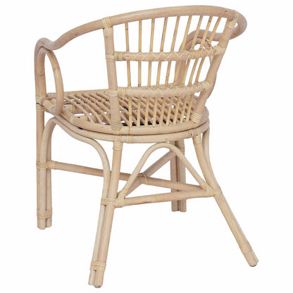 Silla Apilable 58 X 60 X 81 Cm Ratán