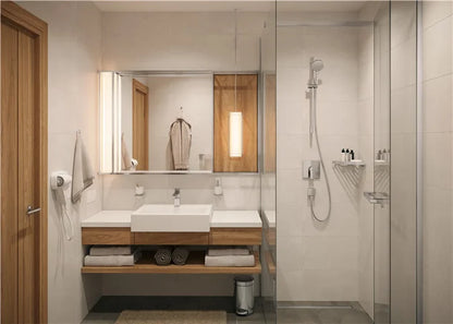 Ducha Hansgrohe Vernis shape monomando