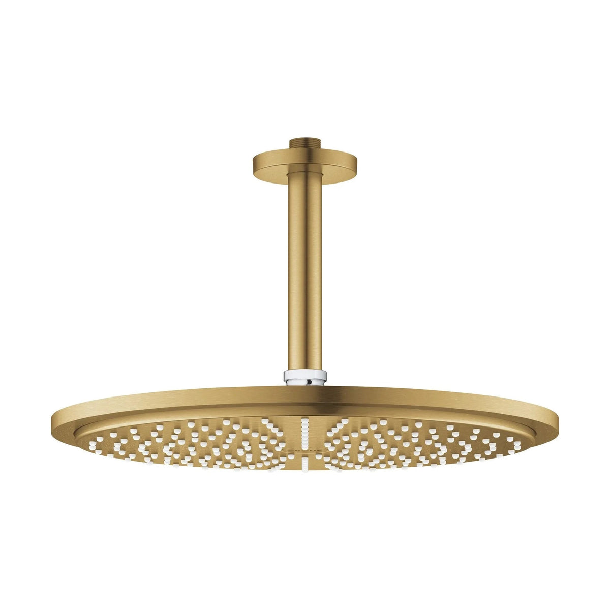 Rociador de ducha redondo grohe rainshower - Oro Cepillado